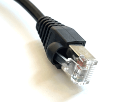 RJ45 Plug